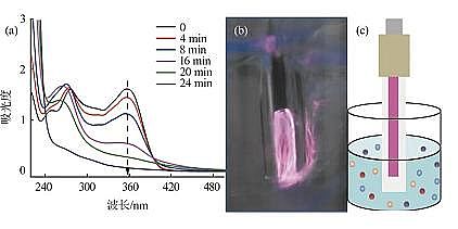 ���������c�����c̼Դ���a�S�Қ�Һ����x���w��ˮ���ĭh��ȥ�����C���о�