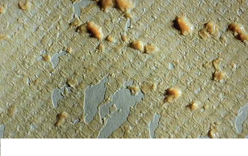 2022��4A���ӺY�r���@ƪС�ĸ��V�㣬��ɶ��ķ��B͸Ó�}���������a(ch��n)ˮ����