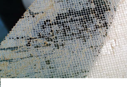 2022��4A���ӺY�r���@ƪС�ĸ��V�㣬��ɶ��ķ��B͸Ó�}���������a(ch��n)ˮ����