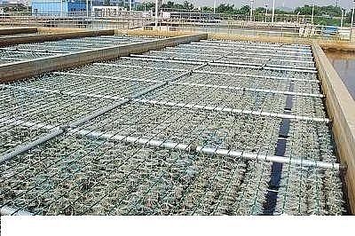 ��Ʒ�|�������͚������S����ˮ�S������RÓ�׳������}����ô����?�@���N����������!