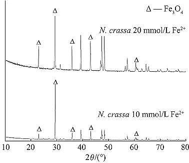 ��Ʒ�|��ĩ�۠����̿���a�S������V�����Ƃ�{�������F���䌦���׻��{������