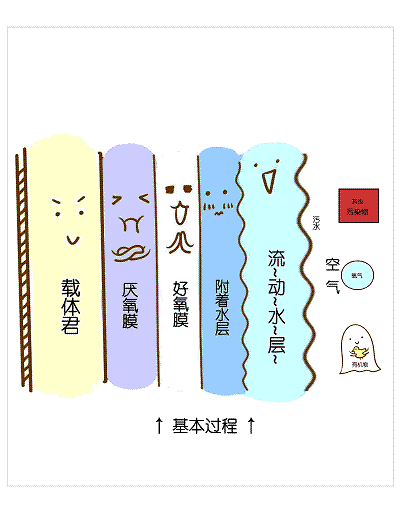 2022年阻垢劑價(jià)格國內(nèi)六大主流污水處理工藝!附詳細(xì)介紹!