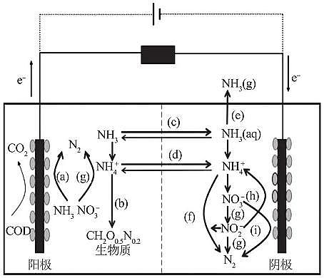精美結晶氯化鋁生產廠家生物電化學系統廢水脫氮機理及影響研究進展