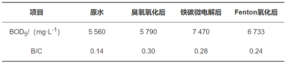 精美鐵碳微電解填料生產(chǎn)廠家預(yù)處理對(duì)頭孢制藥廢水的降解效果與有機(jī)物去除研究
