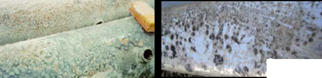 ȫ��3A���ӺY���a(ch��n)�S��ѭ�h(hu��n)ˮϵ�y(t��ng)�е���\�����g����ָ��