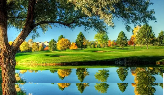 優(yōu)良粉末粉狀活性炭生產(chǎn)廠家堿度與pH如何換算?