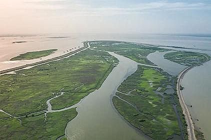 �����M���������a�S����ȵ��������ˮ?